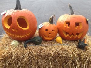 Pumpkin Carving Contest Oshweken